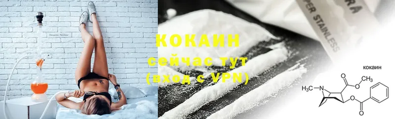 Кокаин Fish Scale  Городовиковск 