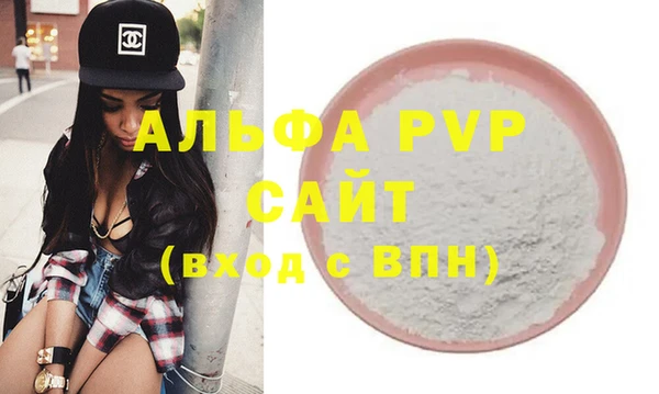 стаф Богданович