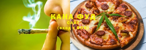 дмт Богородицк