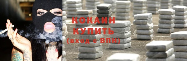 дмт Богородицк