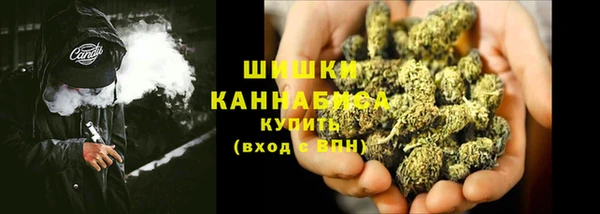стаф Богданович