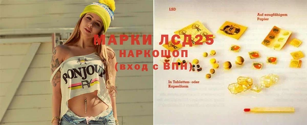 стаф Богданович