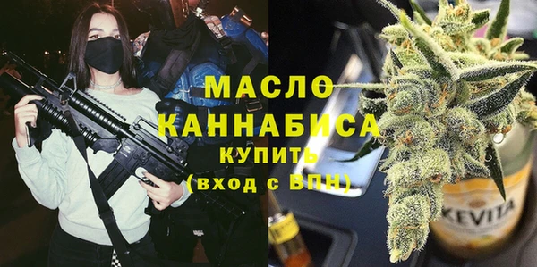 индика Бронницы