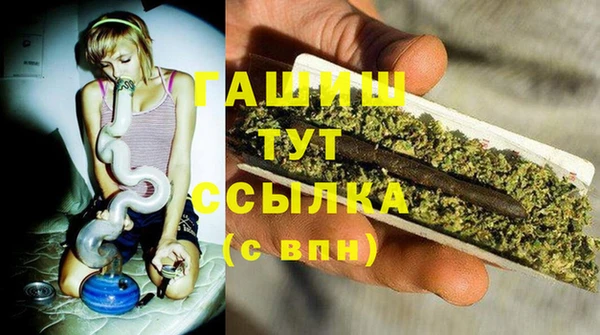 стаф Богданович