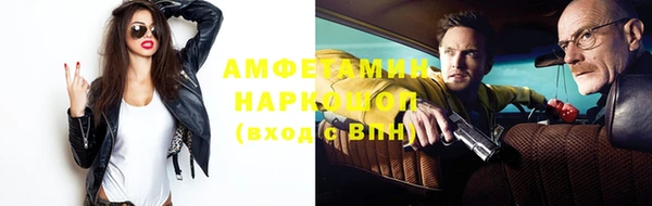 стаф Богданович