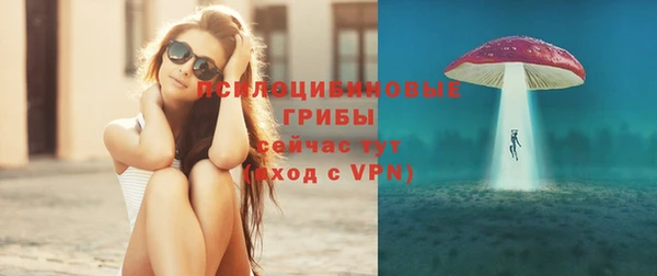 стаф Богданович