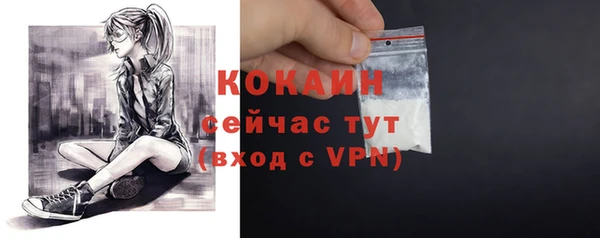 дмт Богородицк