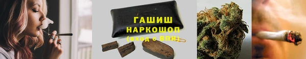 spice Богородск