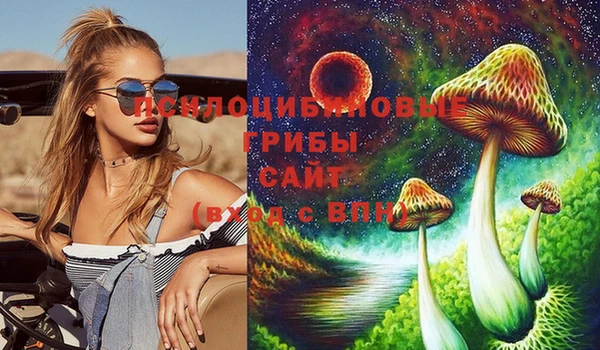 стаф Богданович