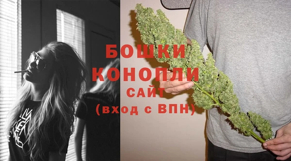 стаф Богданович