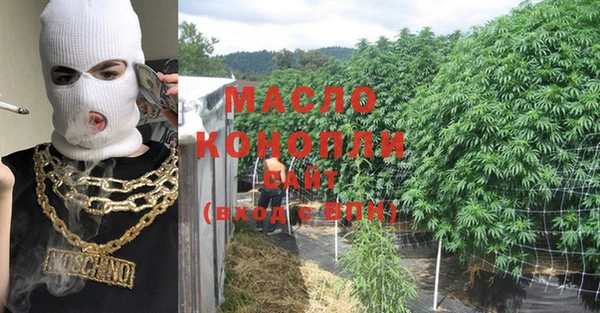 дмт Богородицк