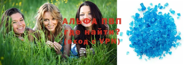 стаф Богданович