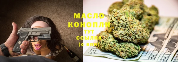 spice Богородск