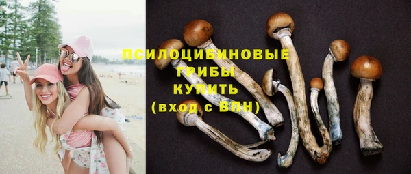 герыч Грязовец