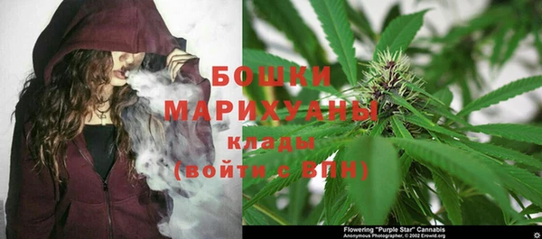 стаф Богданович