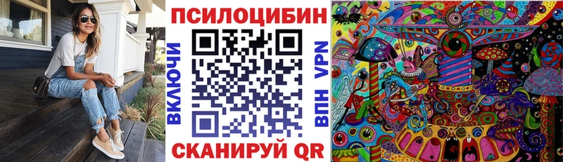 Галлюциногенные грибы Magic Shrooms  наркотики  Городовиковск 